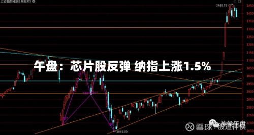 午盘:芯片股反弹 纳指上涨1.5%-第3张图片