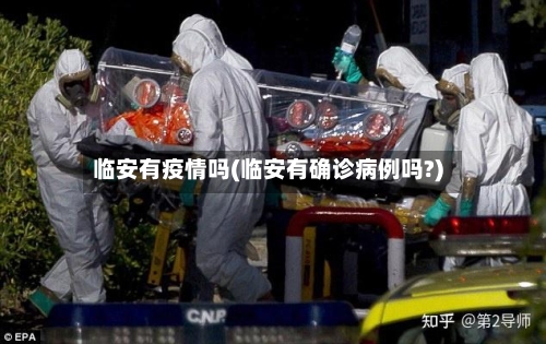 临安有疫情吗(临安有确诊病例吗?)-第2张图片