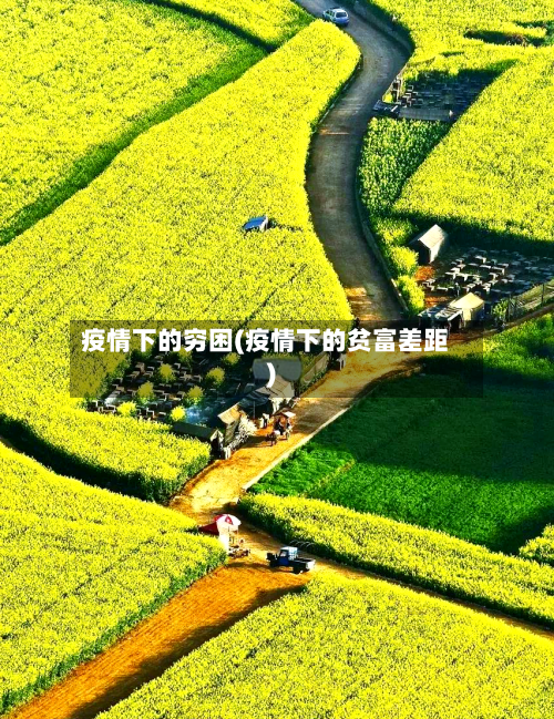 疫情下的穷困(疫情下的贫富差距)