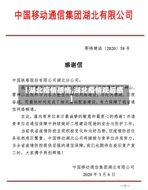 【湖北疫情感悟,湖北疫情观后感】-第2张图片