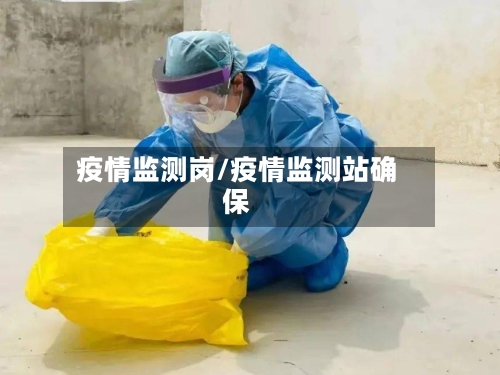 疫情监测岗/疫情监测站确保-第2张图片