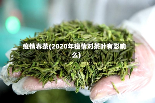 疫情春茶(2020年疫情对茶叶有影响么)