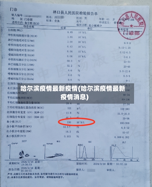 哈尔滨疫情最新疫情(哈尔滨疫情最新疫情消息)-第2张图片