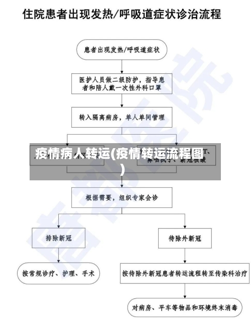疫情病人转运(疫情转运流程图)
