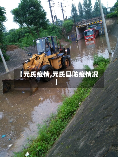 【元氏疫情,元氏县防疫情况】-第2张图片