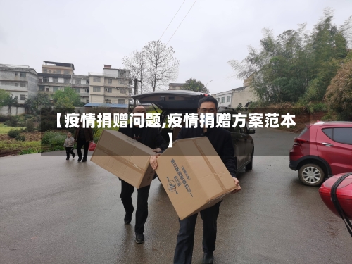 【疫情捐赠问题,疫情捐赠方案范本】-第2张图片