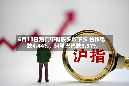 6月11日热门中概股多数下跌 台积电跌4.44%，阿里巴巴跌3.57%-第3张图片