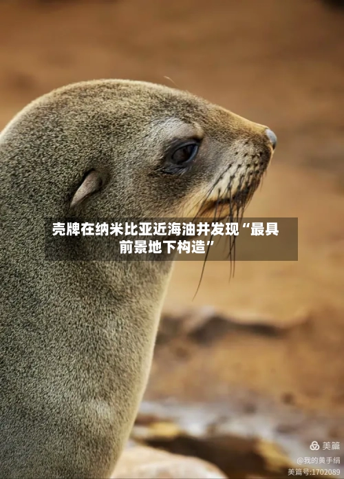 壳牌在纳米比亚近海油井发现“最具前景地下构造	”-第2张图片