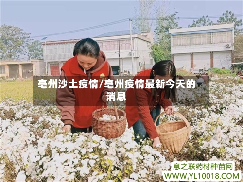 亳州沙土疫情/亳州疫情最新今天的消息-第2张图片