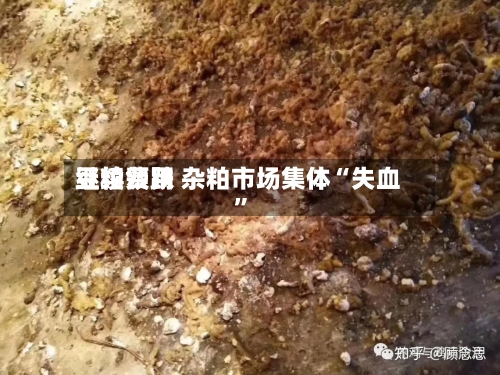 豆粕费用继续领跌 杂粕市场集体“失血”-第2张图片
