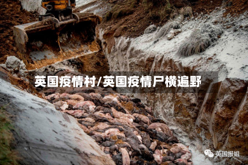英国疫情村/英国疫情尸横遍野