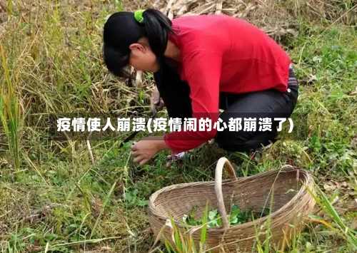 疫情使人崩溃(疫情闹的心都崩溃了)-第3张图片
