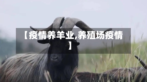 【疫情养羊业,养殖场疫情】