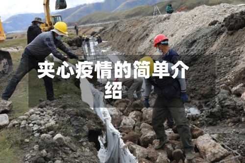 夹心疫情的简单介绍
