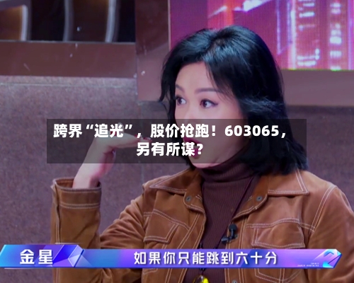 跨界“追光	”，股价抢跑！603065，另有所谋？-第2张图片