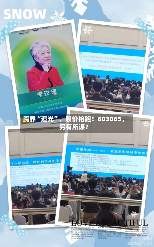 跨界“追光”	，股价抢跑！603065，另有所谋？-第3张图片