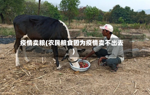 疫情卖粮(农民粮食因为疫情卖不出去)-第2张图片