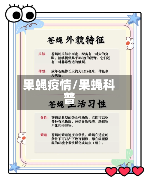 果蝇疫情/果蝇科普-第3张图片
