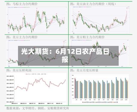 光大期货：6月12日农产品日报