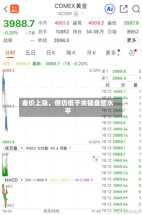 金价上涨，但仍低于关键盘整水平