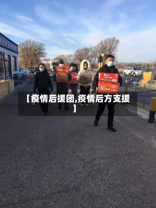 【疫情后援团,疫情后方支援】-第3张图片