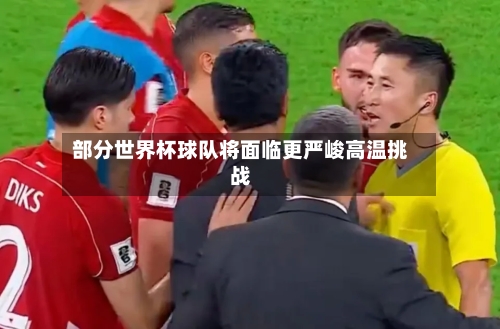 部分世界杯球队将面临更严峻高温挑战-第2张图片
