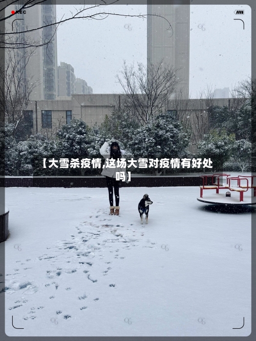 【大雪杀疫情,这场大雪对疫情有好处吗】-第2张图片