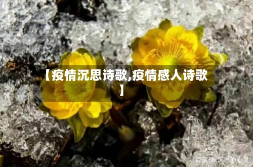 【疫情沉思诗歌,疫情感人诗歌】-第2张图片