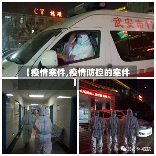 【疫情案件,疫情防控的案件】-第2张图片