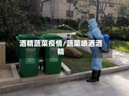 酒精蔬菜疫情/蔬菜喷洒酒精-第3张图片