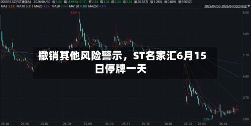 撤销其他风险警示，ST名家汇6月15日停牌一天-第3张图片