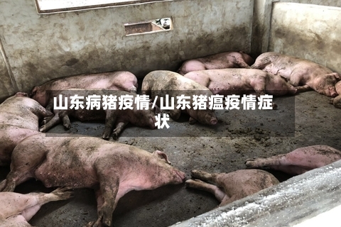 山东病猪疫情/山东猪瘟疫情症状-第2张图片