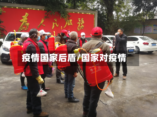 疫情国家后盾/国家对疫情-第2张图片