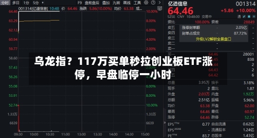 乌龙指？117万买单秒拉创业板ETF涨停	，早盘临停一小时-第3张图片