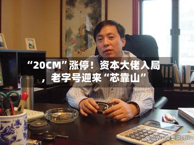 “20CM	”涨停！资本大佬入局，老字号迎来“芯靠山”-第2张图片