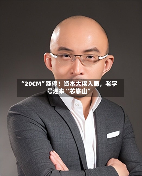 “20CM”涨停！资本大佬入局，老字号迎来“芯靠山	”-第3张图片