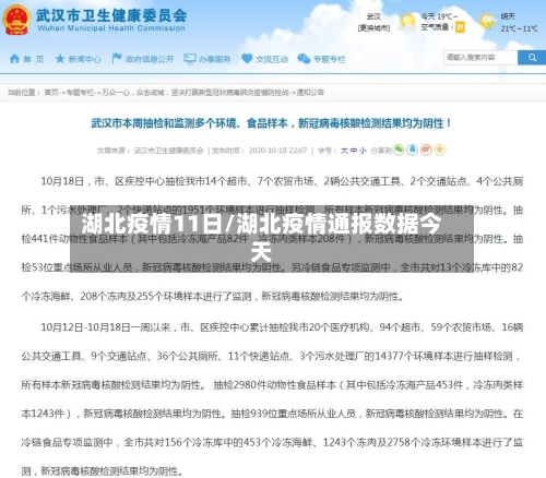 湖北疫情11日/湖北疫情通报数据今天-第1张图片