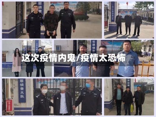 这次疫情内鬼/疫情太恐怖-第2张图片