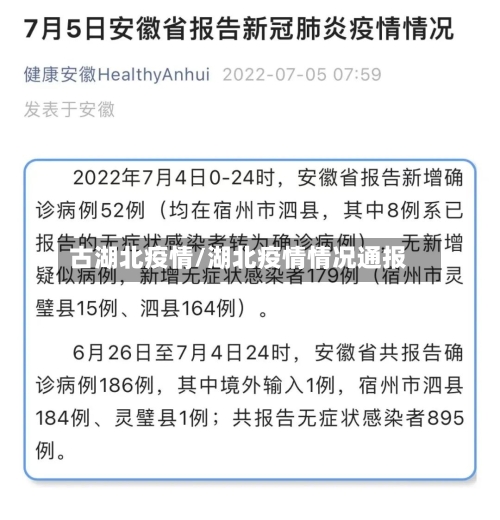 古湖北疫情/湖北疫情情况通报-第2张图片
