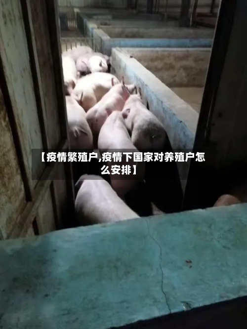 【疫情繁殖户,疫情下国家对养殖户怎么安排】-第2张图片