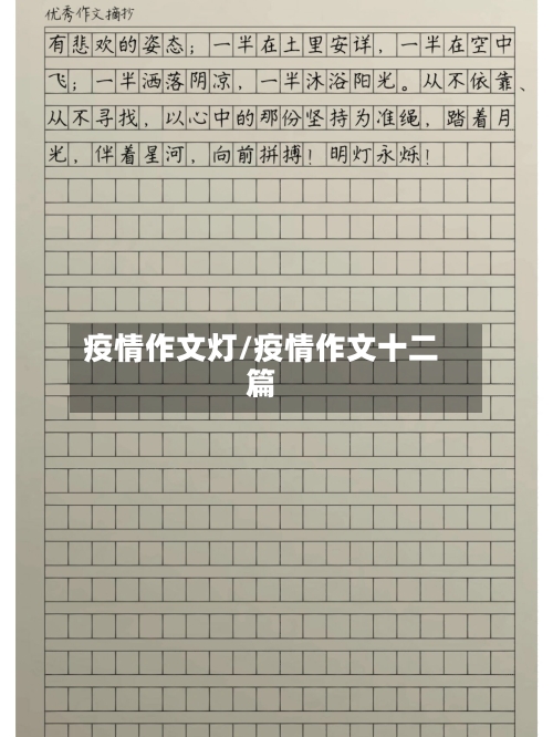 疫情作文灯/疫情作文十二篇-第2张图片