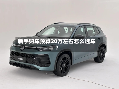 新手购车预算20万左右怎么选车？-第2张图片