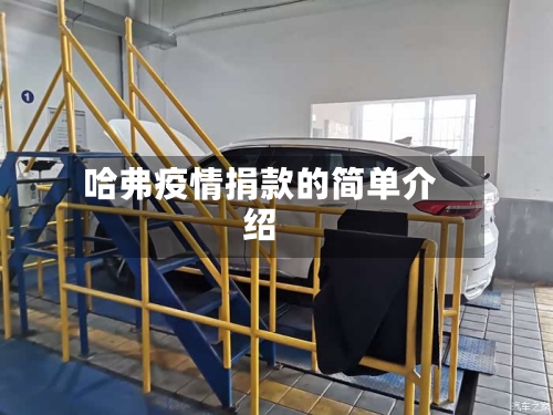 哈弗疫情捐款的简单介绍-第3张图片