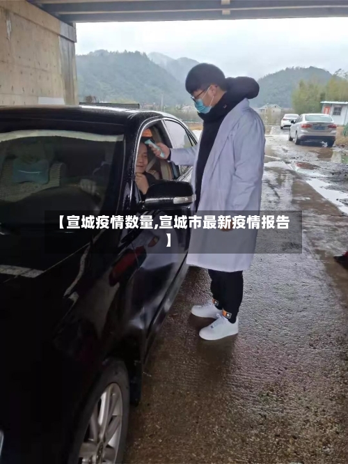 【宣城疫情数量,宣城市最新疫情报告】-第2张图片