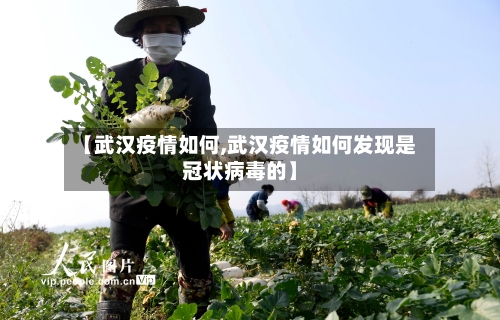 【武汉疫情如何,武汉疫情如何发现是冠状病毒的】-第3张图片