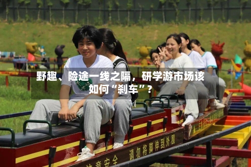 野趣、险途一线之隔	，研学游市场该如何“刹车”？-第2张图片
