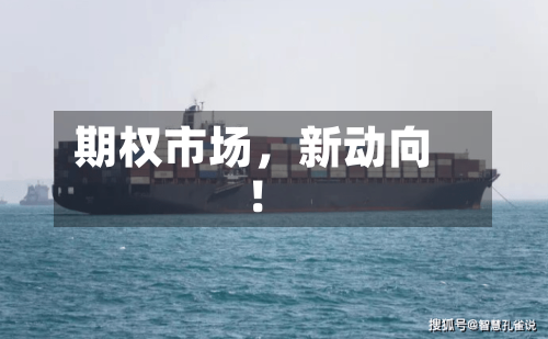 期权市场，新动向！-第3张图片