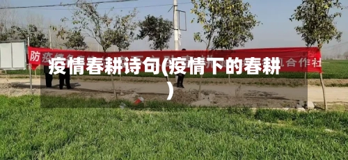 疫情春耕诗句(疫情下的春耕)-第2张图片