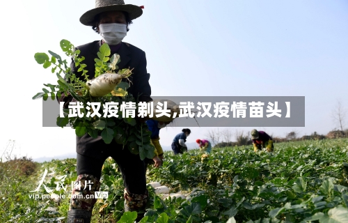 【武汉疫情剃头,武汉疫情苗头】