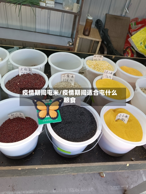 疫情期间屯米/疫情期间适合屯什么粮食